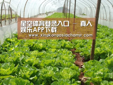 种植基地五