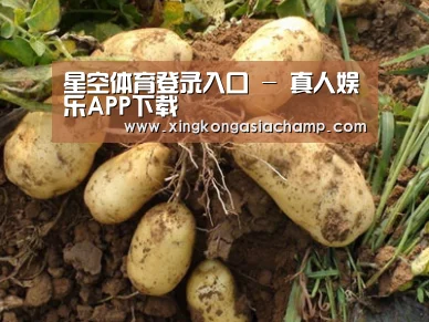 种植基地六
