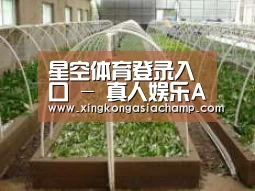 环境展示五