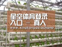 环境展示六