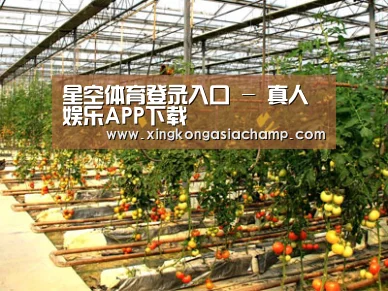种植基地二
