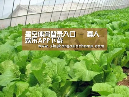 种植基地一