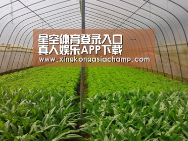 种植基地四