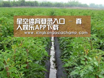 种植基地三