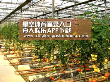种植基地二(图1)