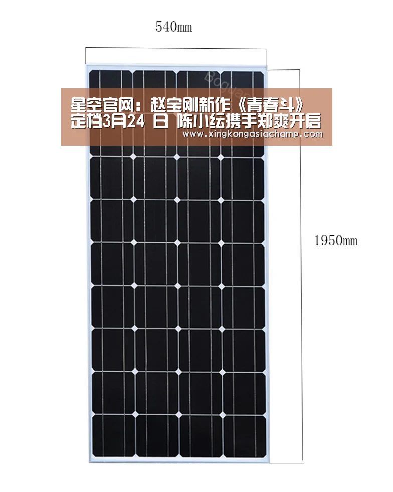 星空官网:赵宝刚新作《青春斗》定档3月24 日 陈小纭携手郑爽开启“斗系青春”(图3) 星空登录