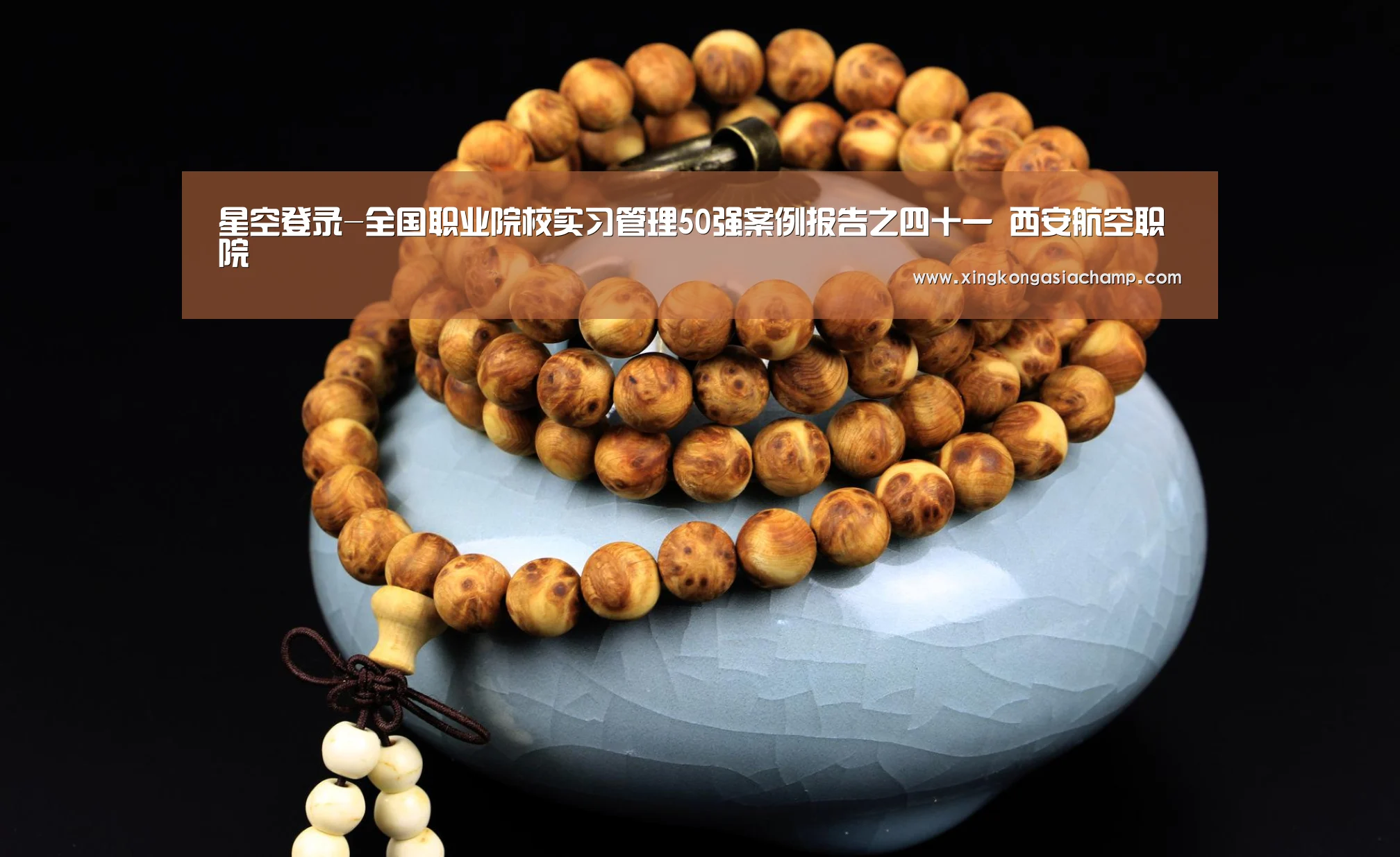 星空登录-全国职业院校实习管理50强案例报告之四十一 西安航空职院(图4) 星空真人