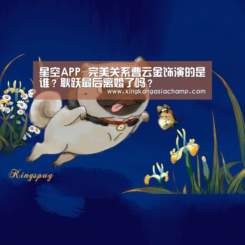 星空APP-完美关系曹云金饰演的是谁?耿跃最后离婚了吗?(图1) 星空APP