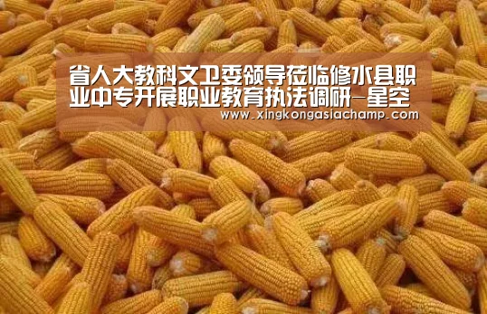 省人大教科文卫委领导莅临修水县职业中专开展职业教育执法调研-星空真人(图4) 星空真人