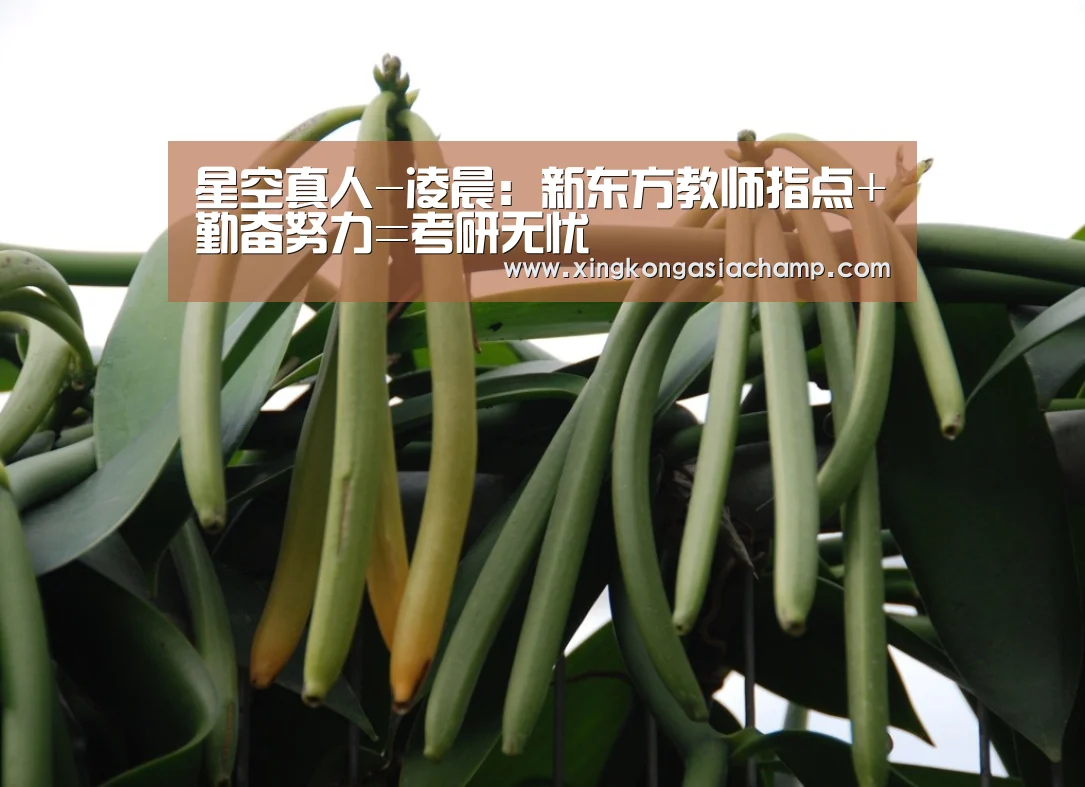 星空真人-凌晨:新东方教师指点+勤奋努力=考研无忧(图1) 星空登录
