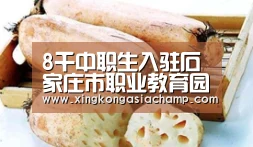 星空登录