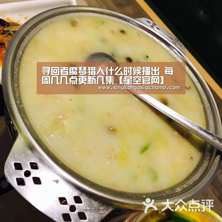寻回者魔琴猎人什么时候播出 每周几几点更新几集【星空官网】(图1) 星空登录