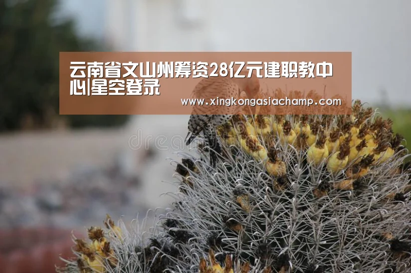 云南省文山州筹资28亿元建职教中心|星空登录(图2) 星空APP