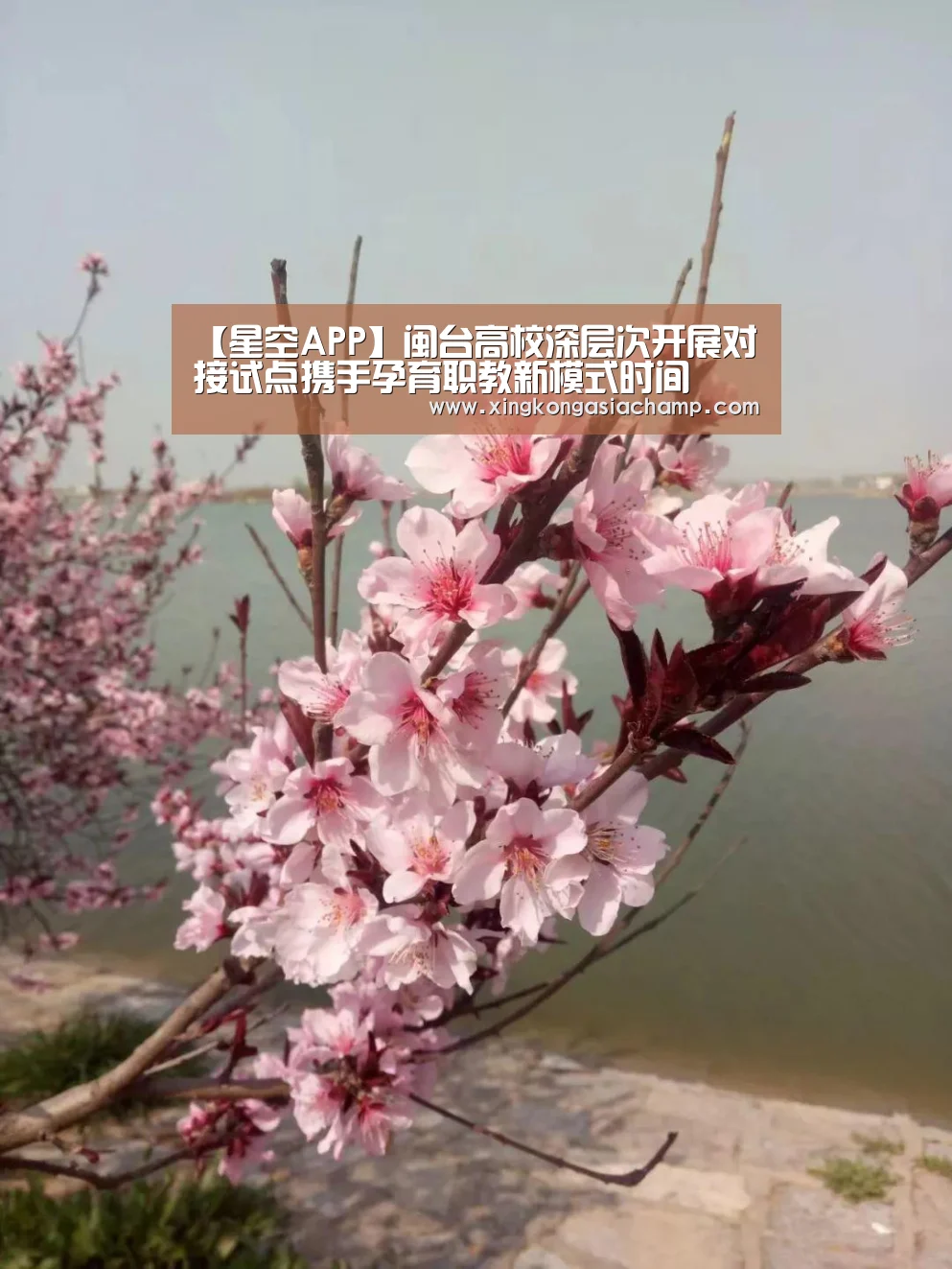 【星空APP】闽台高校深层次开展对接试点携手孕育职教新模式时间(图3) 星空登录