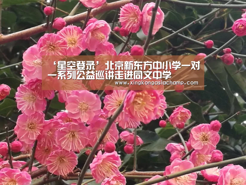 ‘星空登录’北京新东方中小学一对一系列公益巡讲走进同文中学(图3) 星空APP