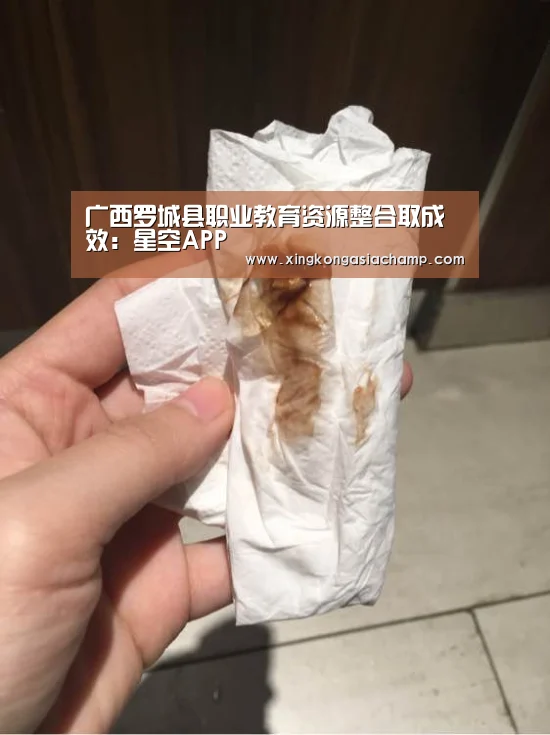 广西罗城县职业教育资源整合取成效:星空APP(图3) 星空APP