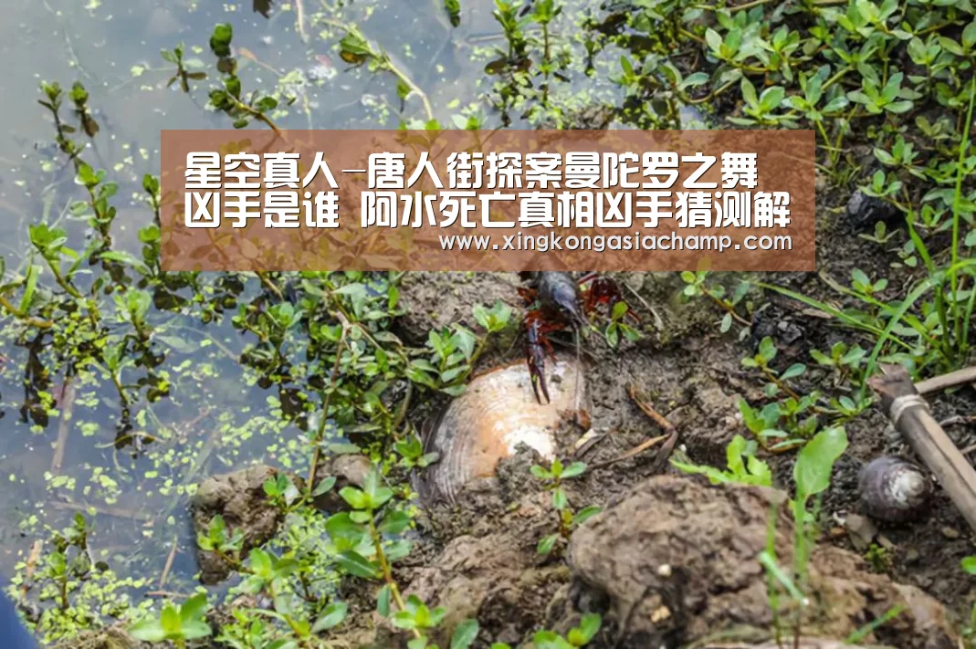 星空真人-唐人街探案曼陀罗之舞凶手是谁 阿水死亡真相凶手猜测解析(图4) 星空APP